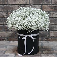 Цветочная композиция из Гипсофила в шляпной коробке в Панкрушихе